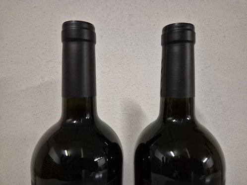 2015 Gianfranco Fino Es Primitivo - Puglia - 2 Bouteilles, Verzamelen, Wijnen