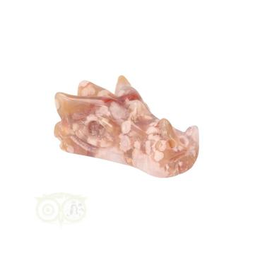 Bloem Agaat  Drakenschedeltje 45 gram, Verzenden