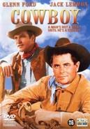 Cowboy op DVD, CD & DVD, Verzenden