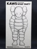 Kaws (1974) - Unused Rare WHAT PARTY white, Antiek en Kunst