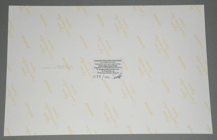 F. Seltier - The Doors Jim Morrison 1968, Fine Art Print, Antiek en Kunst, Kunst | Designobjecten