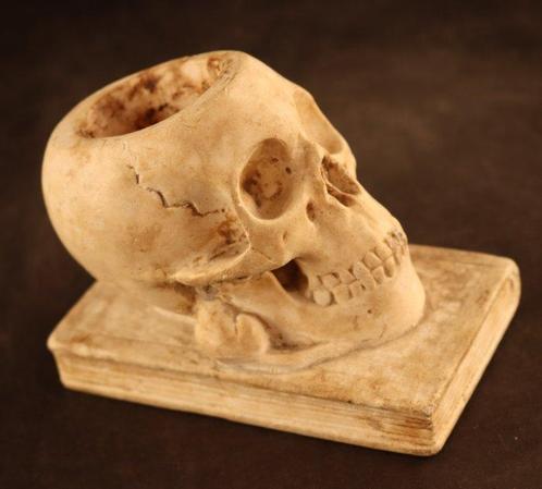 Beeld schedel - Sculpture, Memento Mori - 12 cm - Plâtre, Antiek en Kunst, Antiek | Keramiek en Aardewerk