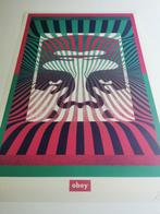 Shepard Fairey (OBEY) - Op-Art Icon - 2020s