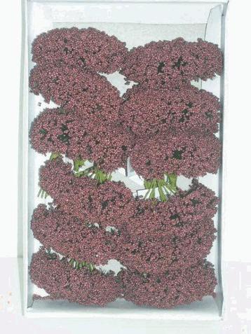 Fieldberries bordeaux doosje voor bloemschikken ro