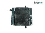Radiateur Honda FES 250 Foresight 1997-2005 (FES250 KFG), Motoren, Verzenden, Nieuw