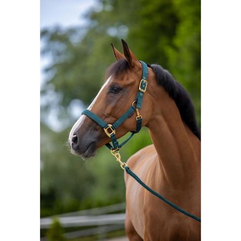 Halster topline - forest - veulen - kerbl, Dieren en Toebehoren, Paarden en Pony's | Overige Paardenspullen, Nieuw