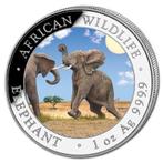 Somalië. 100 Shillings 2024 African Wildlife - Elephant -, Postzegels en Munten