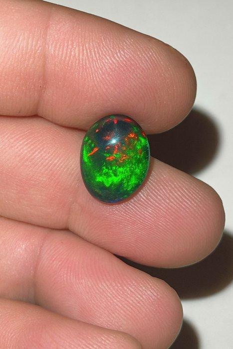 Opaal Zwart Maximale Kwaliteit Multicolor — Zeer zeldzaam! -, Verzamelen, Mineralen en Fossielen