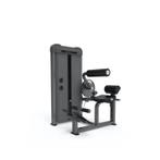 Gymfit - Luxury-line - Back Extension - L201, Ophalen of Verzenden