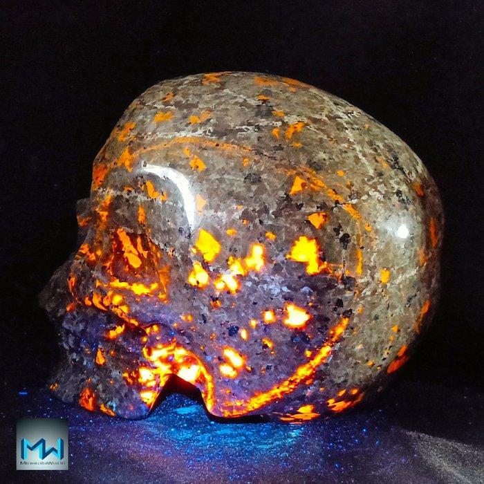 7 Uitzonderlijke menselijke schedel (3815 g), met de hand, Verzamelen, Mineralen en Fossielen