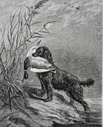 Vicomte Jean-Antoine-Louis de Dax - La chasse illustrée. Et, Antiek en Kunst