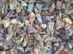 Colour Lace Rock 6-18cm - aquarium decoratie stenen, Dieren en Toebehoren, Nieuw, Verzenden
