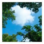 Wolk-bos plafond | Fotoprint | 1 paneel | 60x60cm, Verzenden, Nieuw