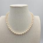 Zonder minimumprijs - Halsketting Zilver Parel - Akoya 8,0, Nieuw