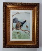 Mario Norfini (1870-1956) - Gallo e cedrone e volatili