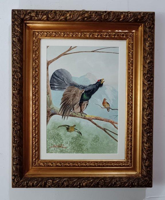 Mario Norfini (1870-1956) - Gallo e cedrone e volatili, Antiek en Kunst, Kunst | Schilderijen | Klassiek