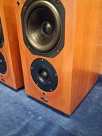 Chario - Syntar 100 Noix Matching Pair Ensemble