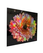 FANO (XX) - Fleurs Chromatiques