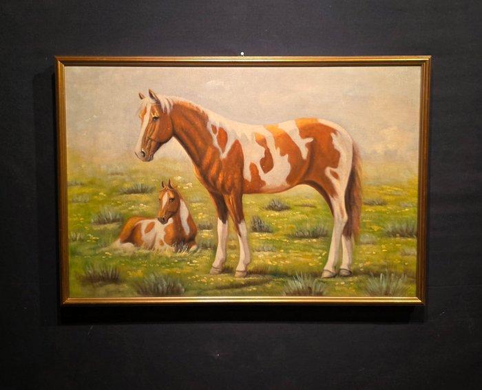 Italiaanse school (XX) - Cavalli, Antiquités & Art, Art | Peinture | Classique