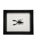 Scorpion Support de corps entier pour taxidermie -, Nieuw