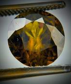 Brun Sphène - 3.62 ct - International Jewellery & Gems, Nieuw