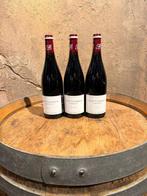 2022 Domaine Alain Burguet, Symphonie - Gevrey Chambertin -, Collections, Vins