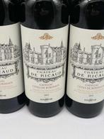 2019 Château de Ricaud Cadillac Cotes de Bordeaux - Médoc -