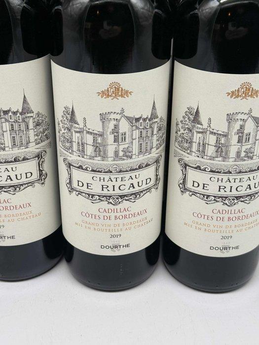 2019 Château de Ricaud Cadillac Cotes de Bordeaux - Médoc -, Collections, Vins