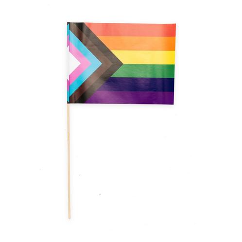 Regenboog Vlag Progress 10st, Hobby en Vrije tijd, Feestartikelen, Nieuw, Verzenden