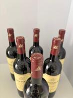 2022 Kanonkop Paul Sauer - Stellenbosch - 6 Bouteilles, Verzamelen, Nieuw