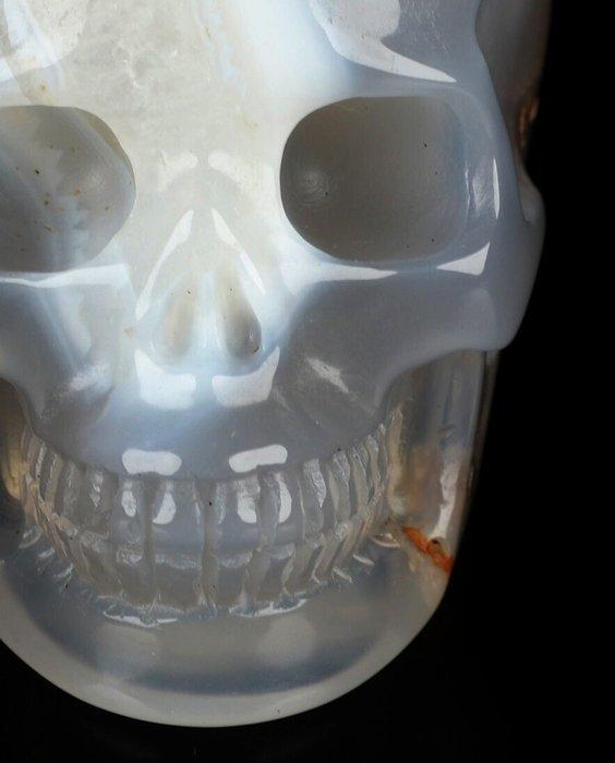 Agaat 288 g Crazy Lace Achat schedel 7,60 cm x 6,60 cm poort, Verzamelen, Mineralen en Fossielen