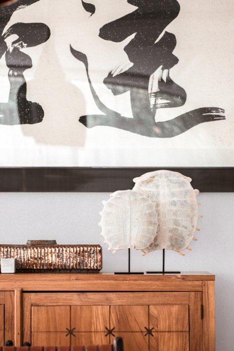 Chinese weekschildpaddenpantser op een aangepaste standaard, Antiek en Kunst, Kunst | Designobjecten