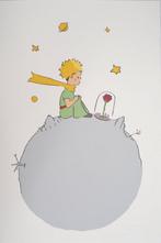 Antoine de Saint-Exupéry ( - Le petit prince et la nature