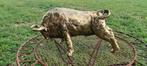 europa - sculptuur, Woeste stier gepolijst brons - 21 cm -