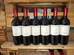 2021 Morella Old Vines Primitivo - Puglia IGT - 6 Bouteilles, Collections, Vins