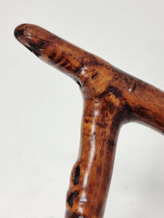Wandelstok - blackthorn, Antiek en Kunst, Antiek | Overige Antiek