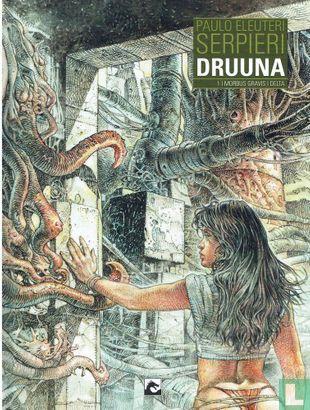 Druuna - Morbus Gravis + Delta - 2016, Livres, BD, Envoi