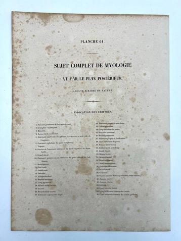 Lesmateriaal - Nicolas-Henri Jacob & Jean Baptiste Marc