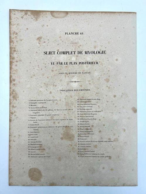 Lesmateriaal - Nicolas-Henri Jacob & Jean Baptiste Marc, Antiek en Kunst, Antiek | Wandborden en Tegels