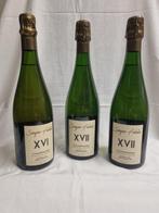 Famille Delouvin, Semper Fidelis - Champagne Extra Brut,, Verzamelen, Nieuw