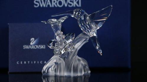 Figure - Swarovski - Kolibrie (Boxed + Certificate) -, Antiek en Kunst, Curiosa en Brocante