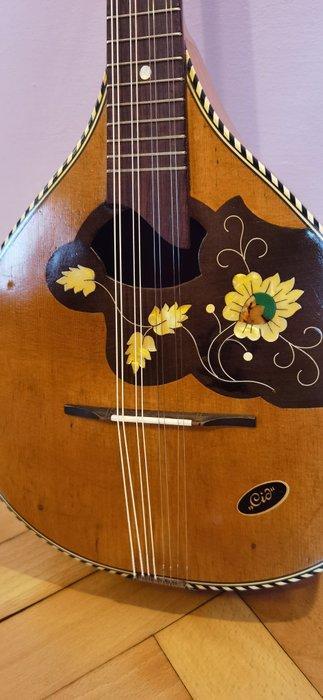 Cid - - Mandoline - Duitsland - 1950 (Zonder minimumprijs), Muziek en Instrumenten, Blaasinstrumenten | Blokfluiten