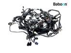 Kabelboom Triumph Tiger 1200 Explorer XCA 2016-2017, Motoren, Verzenden, Gebruikt
