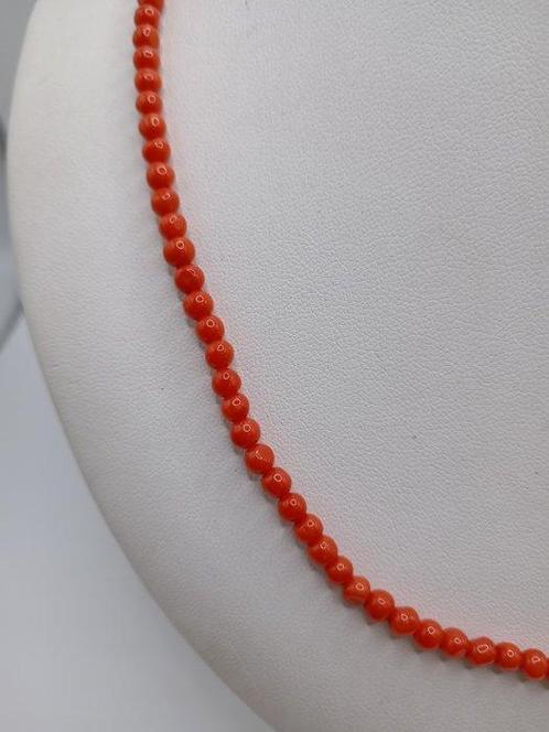Bloedkoraal Koraal - Corallium rubrum (Zonder Minimumprijs), Antiek en Kunst, Curiosa en Brocante