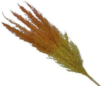 Pampasgras Two Tone YellowOrange 75 cm 5 stuks, Huis en Inrichting, Woonaccessoires | Kunstplanten en Kunstbloemen, Nieuw