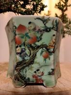 Jeneverbes bonsai (Juniperus) - Hoogte (boom): 12 cm -