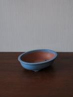 - Conteneur - Porcelaine - Pot de bonsaï Shungado