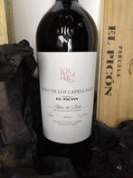 2010 Pago de los Capellanes, Parcela El Picón - Ribera del, Nieuw
