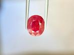 Zonder minimumprijs - 1 pcs Rood Robijn - 10.08 ct -, Handtassen en Accessoires, Edelstenen, Nieuw
