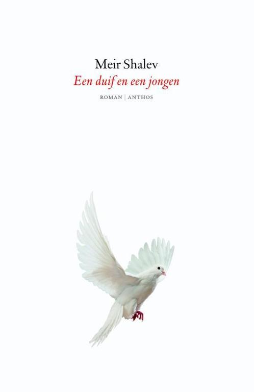 Een duif en een jongen 9789041422927 Meir Shalev, Boeken, Romans, Gelezen, Verzenden